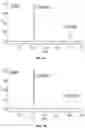 Fig. 09 - COMPOSITIONS AND METHODS OF BIOSYNTHESIZING CAROTENOIDS AND THEIR DERIVATIVES