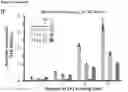 Fig. 05 - Platform of composable mammalian elements of transcription (COMET)