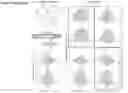 Fig. 08 - Platform of composable mammalian elements of transcription (COMET)