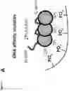 Fig. 13 - Platform of composable mammalian elements of transcription (COMET)