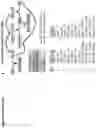Fig. 48 - Platform of composable mammalian elements of transcription (COMET)