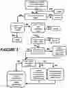 Fig. 02 - METHOD FOR SELECTING TARGET SITES FOR SITE-SPECIFIC GENOME MODIFICATION IN PLANTS
