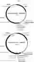Fig. 02 - NOVEL PLANT-DERIVED CIS-REGULATORY ELEMENTS FOR THE DEVELOPMENT OF PATHOGEN-RESPONSIVE CHIMERIC PROMOTORS