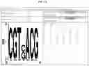 Fig. 06 - NOVEL PLANT-DERIVED CIS-REGULATORY ELEMENTS FOR THE DEVELOPMENT OF PATHOGEN-RESPONSIVE CHIMERIC PROMOTORS