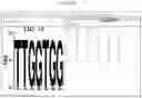 Fig. 15 - NOVEL PLANT-DERIVED CIS-REGULATORY ELEMENTS FOR THE DEVELOPMENT OF PATHOGEN-RESPONSIVE CHIMERIC PROMOTORS