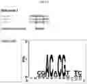 Fig. 27 - NOVEL PLANT-DERIVED CIS-REGULATORY ELEMENTS FOR THE DEVELOPMENT OF PATHOGEN-RESPONSIVE CHIMERIC PROMOTORS