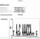 Fig. 29 - NOVEL PLANT-DERIVED CIS-REGULATORY ELEMENTS FOR THE DEVELOPMENT OF PATHOGEN-RESPONSIVE CHIMERIC PROMOTORS