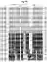 Fig. 100 - Insecticidal proteins from plants