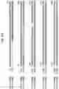 Fig. 22 - Insecticidal proteins from plants
