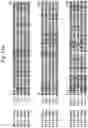 Fig. 40 - Insecticidal proteins from plants