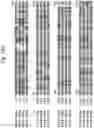 Fig. 61 - Insecticidal proteins from plants