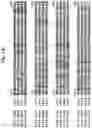 Fig. 63 - Insecticidal proteins from plants
