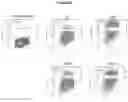 Fig. 25 - Recombinant adeno-associated virus capsids with enhanced human pancreatic tropism