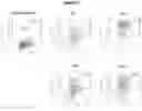 Fig. 28 - Recombinant adeno-associated virus capsids with enhanced human pancreatic tropism