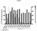 Fig. 34 - Recombinant adeno-associated virus capsids with enhanced human pancreatic tropism