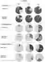 Fig. 53 - Recombinant adeno-associated virus capsids with enhanced human pancreatic tropism