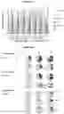 Fig. 62 - Recombinant adeno-associated virus capsids with enhanced human pancreatic tropism
