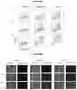 Fig. 71 - Recombinant adeno-associated virus capsids with enhanced human pancreatic tropism