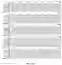 Fig. 06 - Recombinant AAV variants and uses thereof