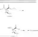 Fig. 06 - ENZYMATIC PROCESS FOR THE PREPARATION OF (1S,2R)-2-(DIFLUOROMETHYL)-1-(PROPOXYCARBONYL)CYCLOPROPANECARBOXYLIC ACID