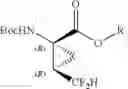 Fig. 30 - ENZYMATIC PROCESS FOR THE PREPARATION OF (1S,2R)-2-(DIFLUOROMETHYL)-1-(PROPOXYCARBONYL)CYCLOPROPANECARBOXYLIC ACID