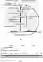 Fig. 02 - Recombinant algal microorganisms having increased lipid production, and methods of making and using the same
