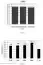 Fig. 06 - Recombinant algal microorganisms having increased lipid production, and methods of making and using the same