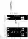 Fig. 08 - Method for producing RNA