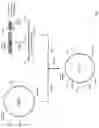 Fig. 17 - Method for producing RNA