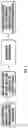 Fig. 02 - Antimicrobial susceptibility testing and microbial identification