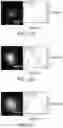 Fig. 12 - Methods and systems of characterizing and counting microbiological colonies