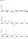 Fig. 16 - METHOD OF DETECTION