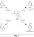 Fig. 02 - Methods for the epigenetic analysis of DNA, particularly cell-free DNA