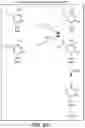 Fig. 13 - Methods for the epigenetic analysis of DNA, particularly cell-free DNA