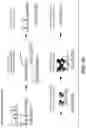 Fig. 24 - Methods for the epigenetic analysis of DNA, particularly cell-free DNA