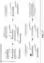 Fig. 25 - Methods for the epigenetic analysis of DNA, particularly cell-free DNA