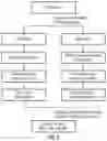 Fig. 10 - Systems and methods for combined detection of genetic alterations