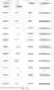 Fig. 04 - PCR detection kit for rapidly identifying of specific serotypes