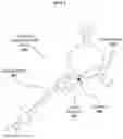 Fig. 06 - Allergen detection