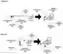 Fig. 09 - Allergen detection