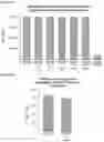 Fig. 13 - Allergen detection
