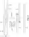 Fig. 03 - Modified multiplex and multistep amplification reactions and reagents therefor
