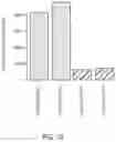 Fig. 14 - Method for blocking miRNA