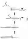 Fig. 02 - Hairpin loop method for double strand polynucleotide sequencing using transmembrane pores