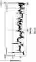 Fig. 12 - Hairpin loop method for double strand polynucleotide sequencing using transmembrane pores
