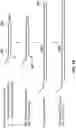 Fig. 15 - Hairpin loop method for double strand polynucleotide sequencing using transmembrane pores