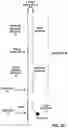 Fig. 26 - Hairpin loop method for double strand polynucleotide sequencing using transmembrane pores