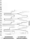 Fig. 06 - Compositions and methods for polynucleotide sequencing