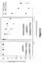 Fig. 10 - Compositions and methods for polynucleotide sequencing