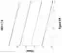 Fig. 11 - Compositions and methods for polynucleotide sequencing